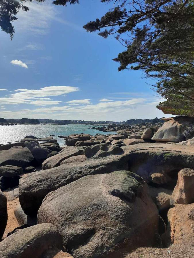 Apartment Vue 50m De La Plage, Wifi Gratuit Perros-Guirec