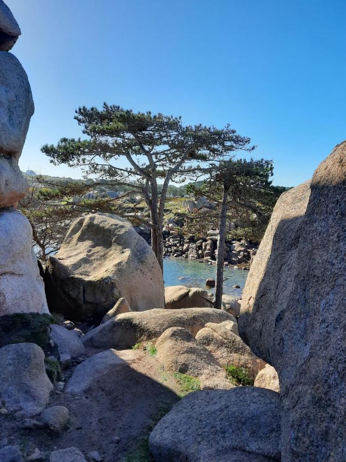 Vue 50m De La Plage, Wifi Gratuit Appartement